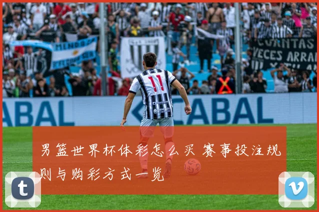 男篮世界杯体彩怎么买 赛事投注规则与购彩方式一览