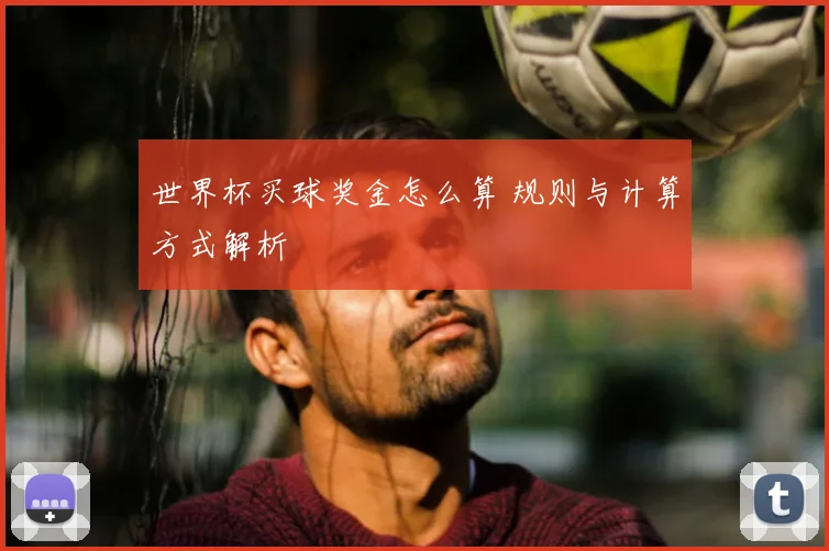 世界杯买球奖金怎么算 规则与计算方式解析