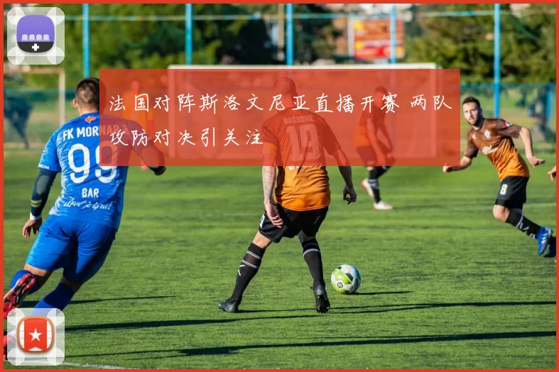 法国对阵斯洛文尼亚直播开赛 两队攻防对决引关注